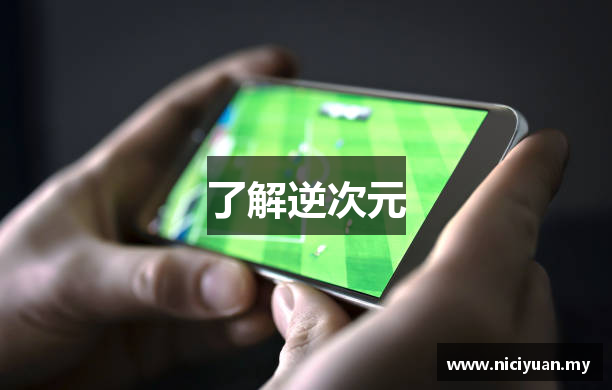 了解逆次元